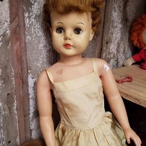 Meet your Posher, Donna